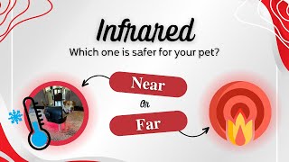 Unveiling the Health amp Safety Benefits Near vs FarInfrared for Your Pets [upl. by Nonac]