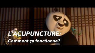 Lacupuncture comment ça fonctionne [upl. by Eatnwahs]