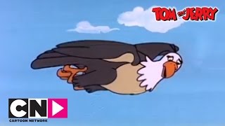 Egg and Tom amp Jerry  Tom amp Jerry  Cartoon Network [upl. by Zipah959]