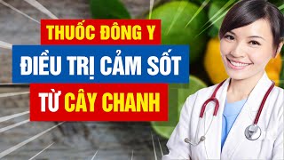 Chanh – Vị thuốc đông y hiệu quả chống lại bệnh cảm sốt [upl. by Fakieh]