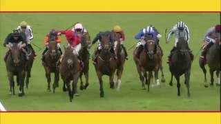 2016 Qatar Goodwood Festival  Day 4 Highlights [upl. by Lynnea978]