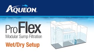 Aqueon  ProFlex  Modular Sump Filtration WetDry Set Up Instructions [upl. by Wilburt]