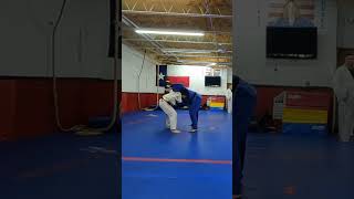 Judo style firemans with no legs Lightweight vs Heavyweight judo [upl. by Leunamesoj784]