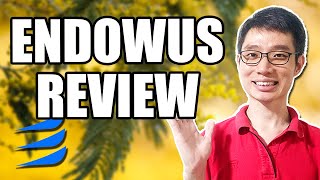 Endowus Review  Best Singapore Robo Advisor [upl. by Muns]