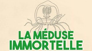 La méduse immortelle [upl. by Landahl512]