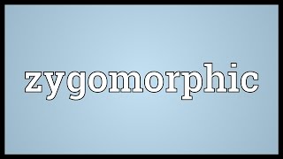 Zygomorphic Meaning [upl. by Sharman]