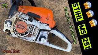 1 Stihl MS 251 😱😱😱 was ist da passiert 🙈 zerlegen der SägeBestandsaufnahme nach Crash 💥 [upl. by Htial957]