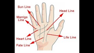 HOW TO READ YOUR OWN PALM LINES [upl. by Naivaf815]