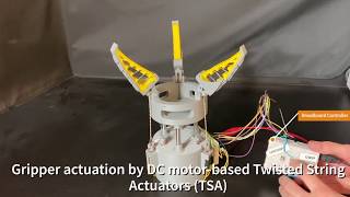 Compliant Artificial Muscle Actuated Grasper  RoboSoft 2020 [upl. by Mallory539]