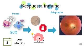 Toxocara cati [upl. by Anreval]