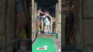 ஆடி கிருத்திகை இடையாறு ராஜா சுவாமி Sri Raja Swamy Temple Nanjai EdayarDeiveegamalai [upl. by D'Arcy]