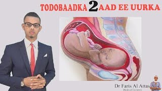 TODOBAADKA 2AAD EE UURKA MAXA DHACA XILIGAAS LASOCO Dr Faris [upl. by Ermey]