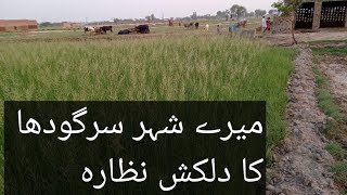 Beautiful views of different villages of Sargodha [upl. by Aneri]