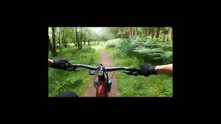 Misjudged the Rocks Cannock chase [upl. by Nnyleahs]