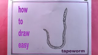 how to draw tapeworm diagramdiagram of tapeworm drawing [upl. by Ilenay]