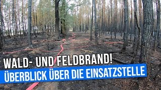 Feld und Waldbrand Überblick über die Einsatzstelle [upl. by Lefty391]