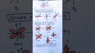 how to draw shape of spd orbitals easy to draw chemistry class11 shorts neet [upl. by Sousa]