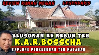 Ulin Traveling Explore Perkebunan Teh Malabar dan Review Rumah Bosscha [upl. by Bergmans]