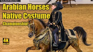 Purebred Arabian Native Costume Champ at Scottsdale Arabian Horse Show [upl. by Ecinue986]