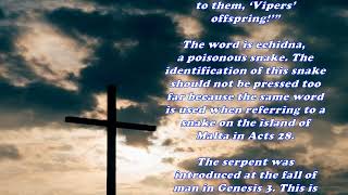 Daily Bible Verse Commentary  Matthew 37 [upl. by Violante]