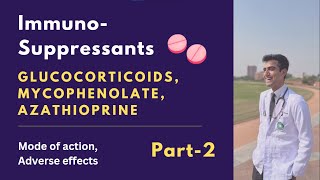 Immunosuppressants part 2 Glucocorticoids Azathioprine Mycophenolate mofetil Mechanism of action [upl. by Annerahs]