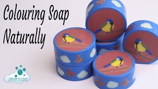 Soap Challenge Club cold process soap making  Rimmed Soap  Colouring soap naturally [upl. by Ylrebmek]