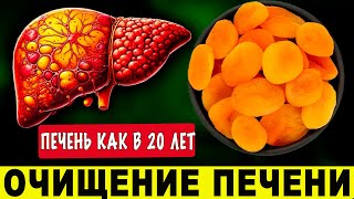 После Этого ПЕЧЕНЬ как в 20 лет Этот продукт ДАСТ НОВУЮ ЖИЗНЬ и ЧИСТИТ ПЕЧЕНЬ [upl. by Ardnuaed11]