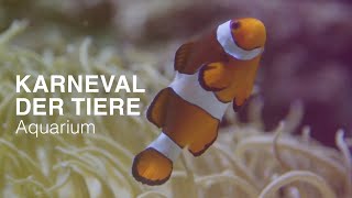 Saint Saëns 🐟AQUARIUM🐠 Karneval der Tiere 🎻🎹 NATURE amp CLASSICS  Best of Klassik die man hören muss [upl. by Feliks]