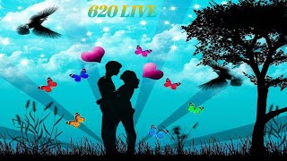 620LIVE HINDI SONG LIVE LIVE SONG [upl. by Airotnes607]