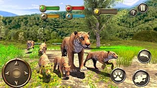 Wild Tiger Survival Simulator by Vital Games Production Android Gameplay HD [upl. by Harli]