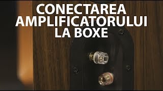 Tutorial cum conectezi amplificatorul la boxe [upl. by Airretal]