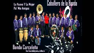 San Juditas Tadeo Sencillo  Caballero de la banda y su Banda Corceleña [upl. by Tihom]