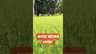 গুনাহ মাফের দোয়া Prayer for forgiveness of sins subscribe shortvideo short short [upl. by Weidman]