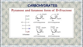 Pyranose and furanose form of DFructose [upl. by Sartin919]