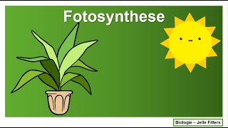 Fotosynthese [upl. by Ellesig]