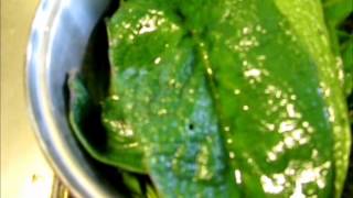 Chickweed Plantain and Comfrey Salve pt 1 [upl. by Mcquade167]