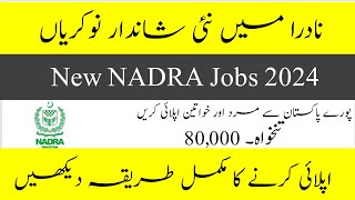 NADRA Jobs 2024 New Career Opportunity In Pakistan How to Apply [upl. by Ullund]