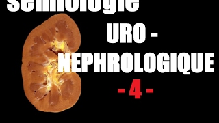 sémiologie uro nephrologique 4 [upl. by Eimmij383]