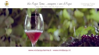 Vivi Acqui Terme assapora i vini d’Acqui [upl. by Mallissa344]