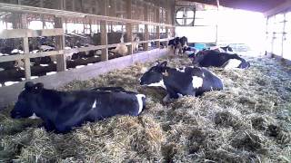 The 5 Minute Tour of Hastings Dairy [upl. by Enelam686]