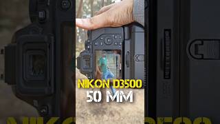 Nikon D3500 camera settings shorts [upl. by Htebazie]