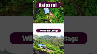 Wild View Cottage Valparai 🔥 3BHK 🏕️ travel [upl. by Atsirk]