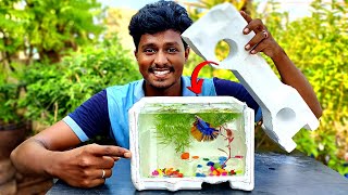 How to Make Fish Tank 🐠😍  Thermocol இருக்கா அப்போ Fish Tank ரெடி  Vijay Ideas [upl. by Terraj532]