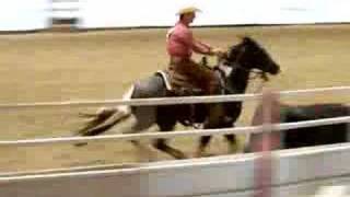 Calgary Stampede Working Cow Horse Competition 2007 [upl. by Nyllij]