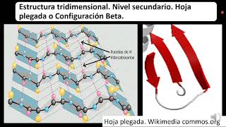 Características generales de las macromoléculas [upl. by Carper361]