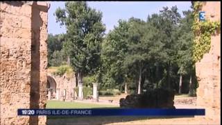 Reportage France 3  30 juillet [upl. by Akirahs]