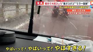 【猛威】｢うわっやばすぎる｣突然都内で猛スピードの大粒ひょう…車はボコボコ、ミラーも破損【めざまし８ニュース】 [upl. by Tap]