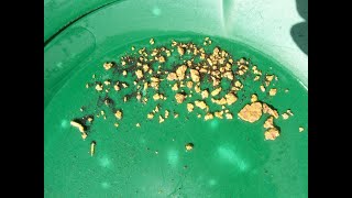 Alamogordo New Mexico Gold Prospectors LOTS OF GOLD [upl. by Araz234]