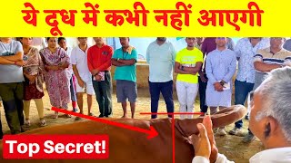 Productive Gir Cow Identifiction amp Devlopment  Gir Cow Training Camp [upl. by Eberle]