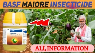 BASF MAIORE INSECTICIDE  maiore insecticide  BASF  INSECTICIDE [upl. by Aneed307]